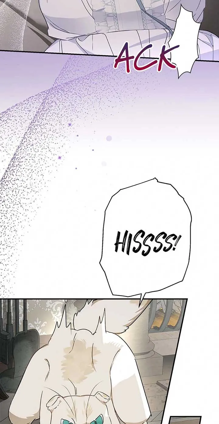 When The Count’s Illegitimate Daughter Gets Married Zinmanga X Chapter 95 Page 65