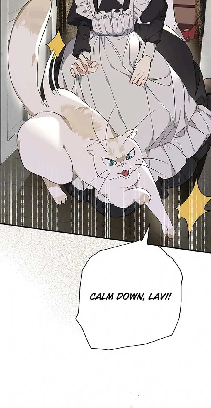 When The Count’s Illegitimate Daughter Gets Married Zinmanga X Chapter 95 Page 67