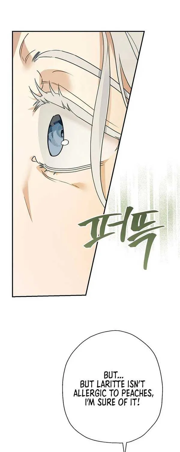 When The Count’s Illegitimate Daughter Gets Married Zinmanga X Chapter 86 Page 8