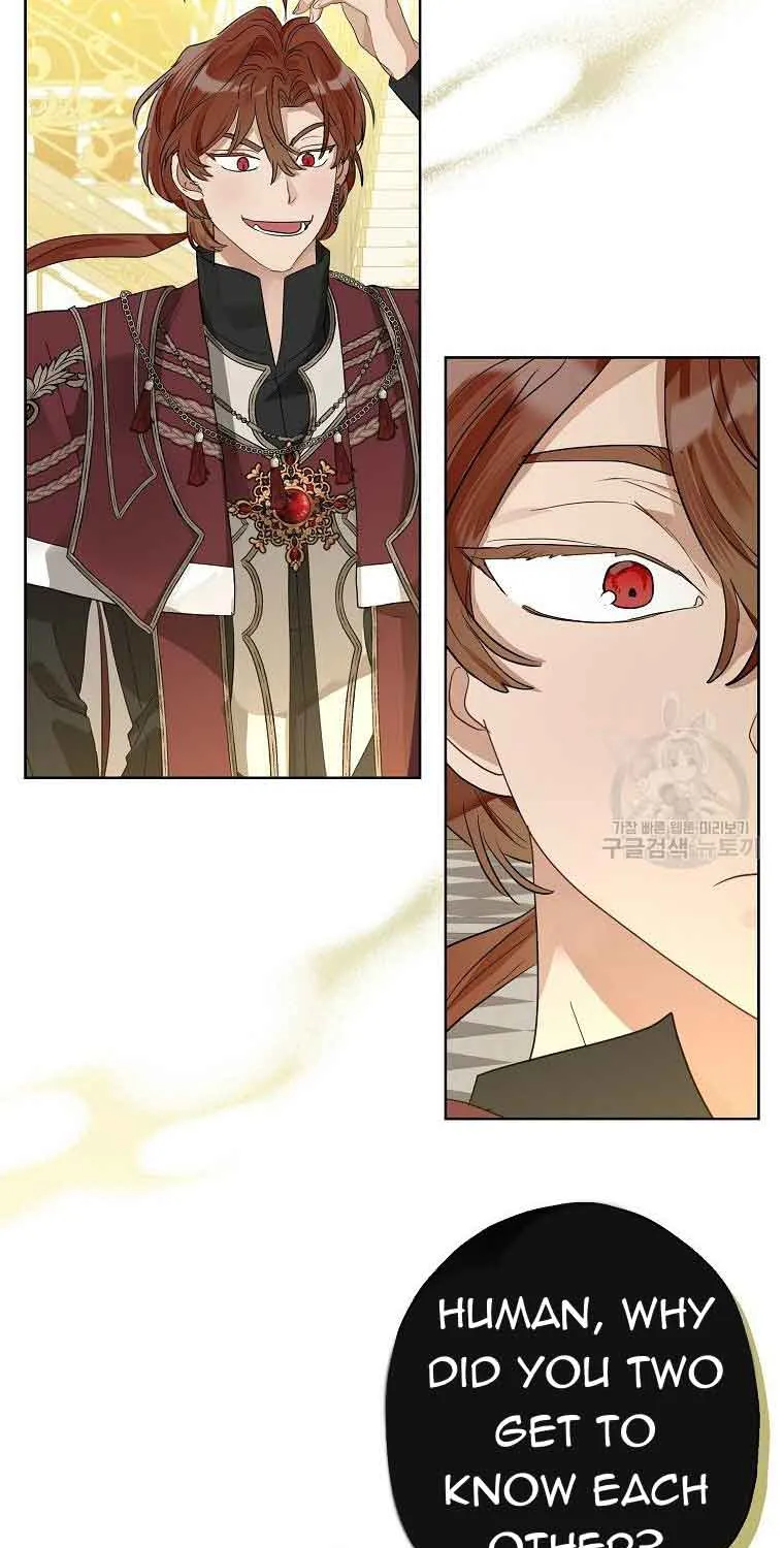 When The Count’s Illegitimate Daughter Gets Married Zinmanga X Chapter 70 Page 52