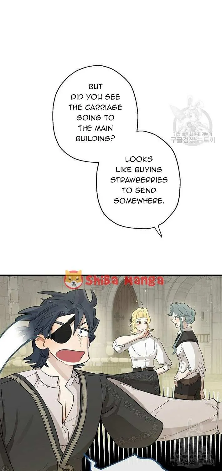 When The Count’s Illegitimate Daughter Gets Married Zinmanga X Chapter 56 Page 19
