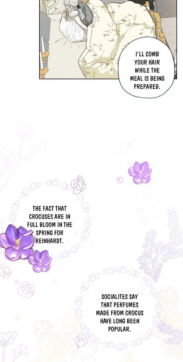 When The Count’s Illegitimate Daughter Gets Married Zinmanga X Chapter 38 Page 5