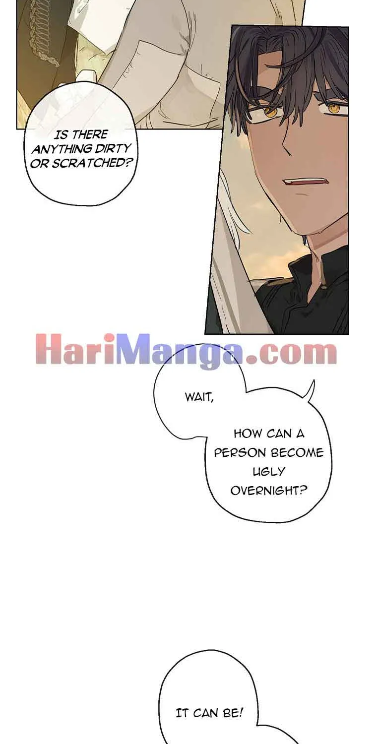 When The Count’s Illegitimate Daughter Gets Married Zinmanga X Chapter 36 Page 2