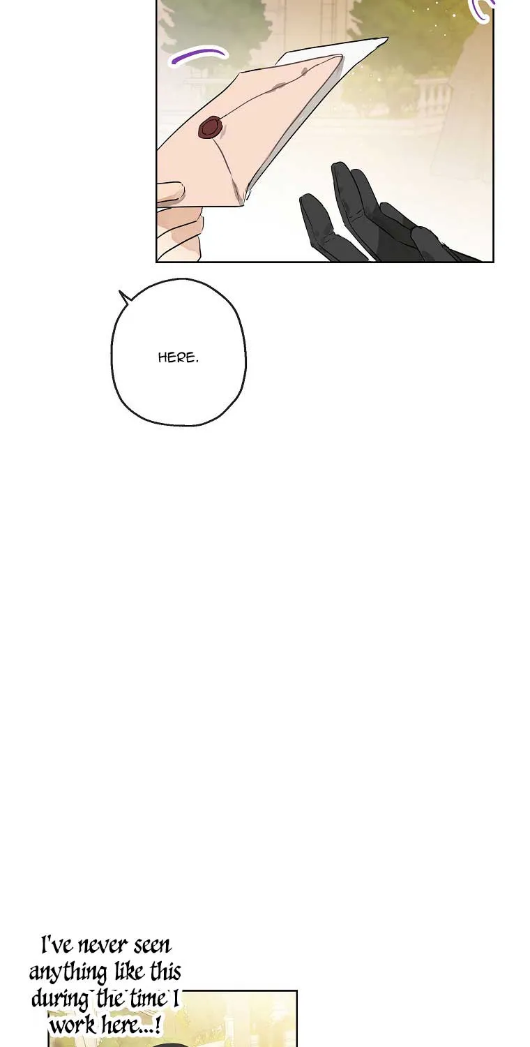When The Count’s Illegitimate Daughter Gets Married Zinmanga X Chapter 19 Page 7