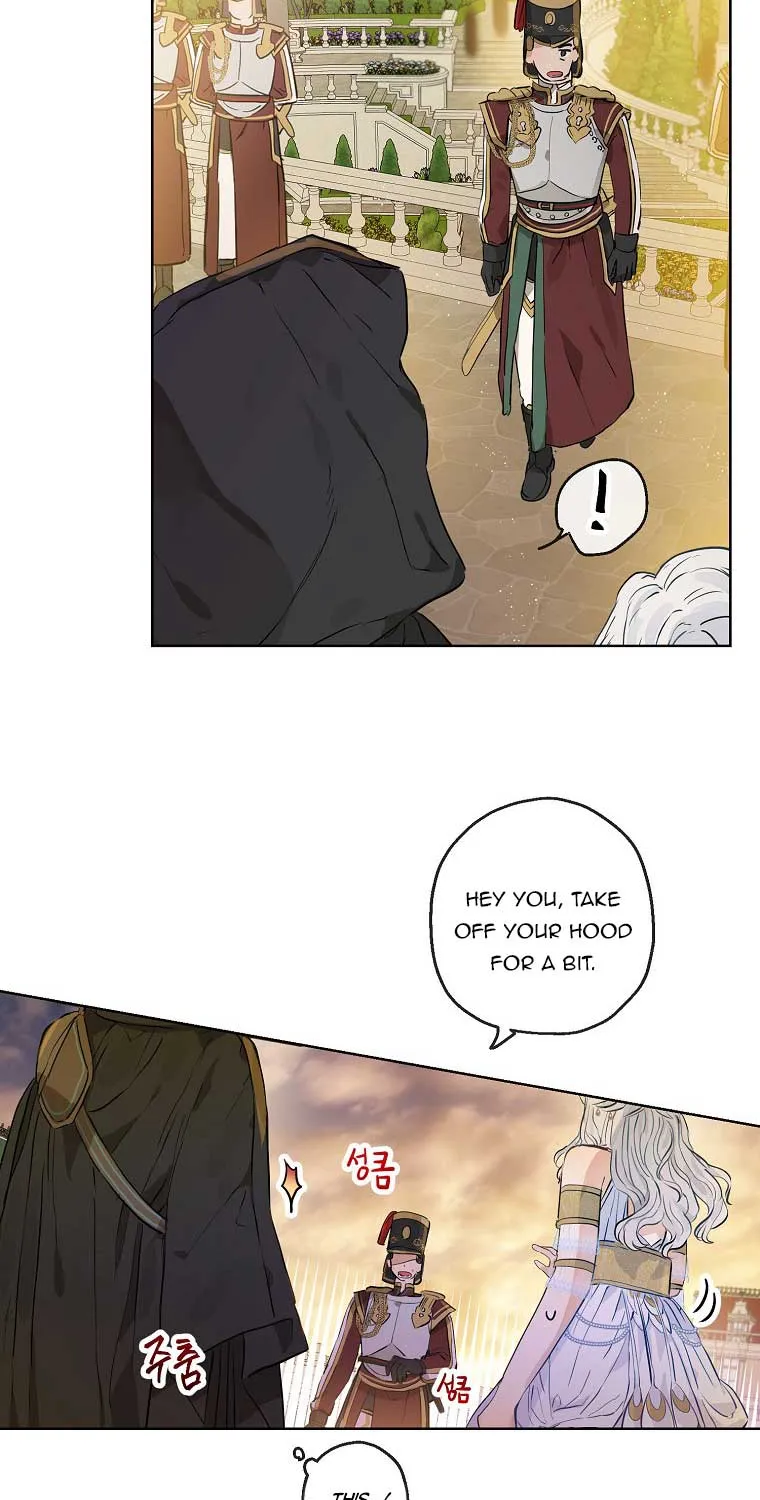 When The Count’s Illegitimate Daughter Gets Married Zinmanga X Chapter 19 Page 13