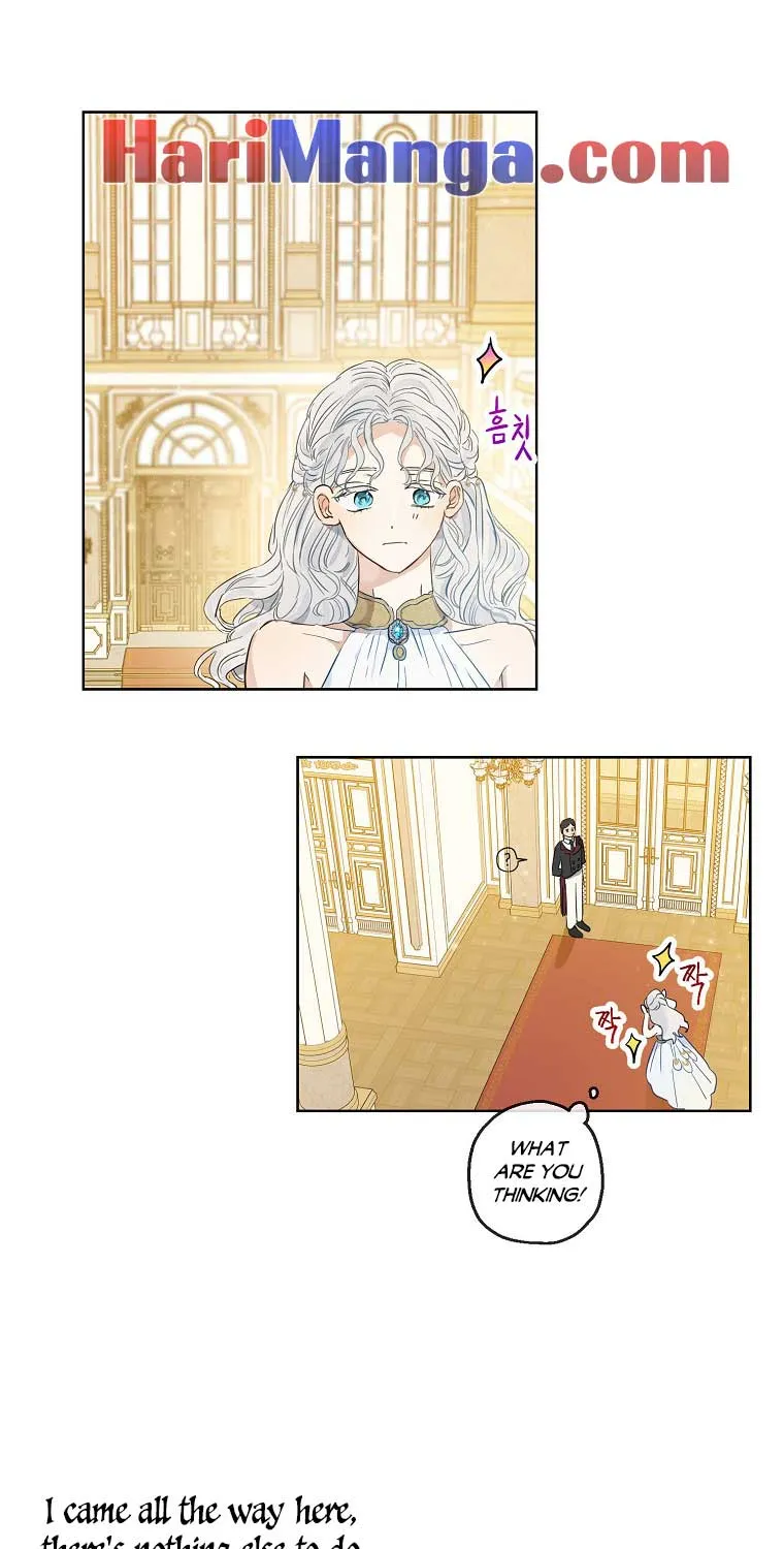 When The Count’s Illegitimate Daughter Gets Married Zinmanga X Chapter 19 Page 47