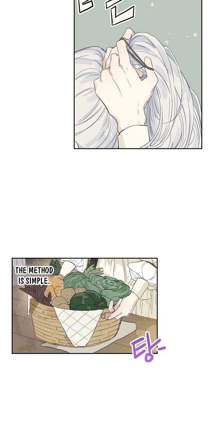 When The Count’s Illegitimate Daughter Gets Married Zinmanga X Chapter 3 Page 38