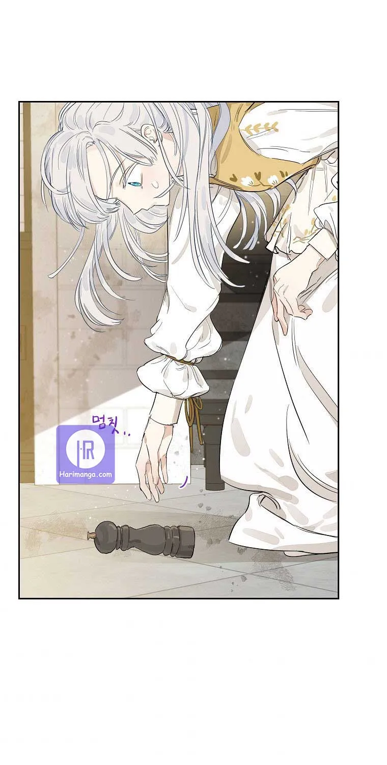 When The Count’s Illegitimate Daughter Gets Married Zinmanga X Chapter 3 Page 43