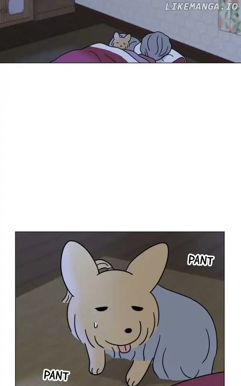 Maru is a Puppy Zinmanga X Chapter 46 Page 27