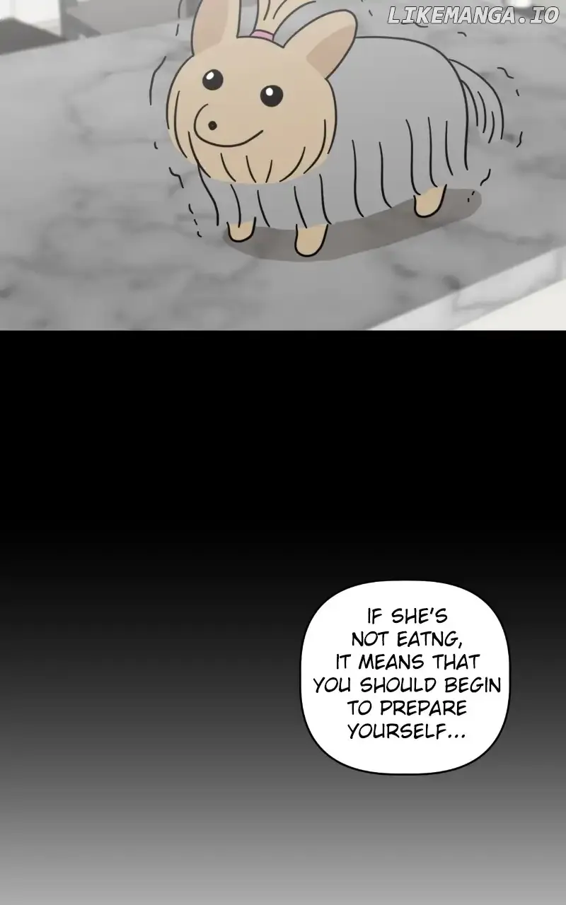 Maru is a Puppy Zinmanga X Chapter 45 Page 43