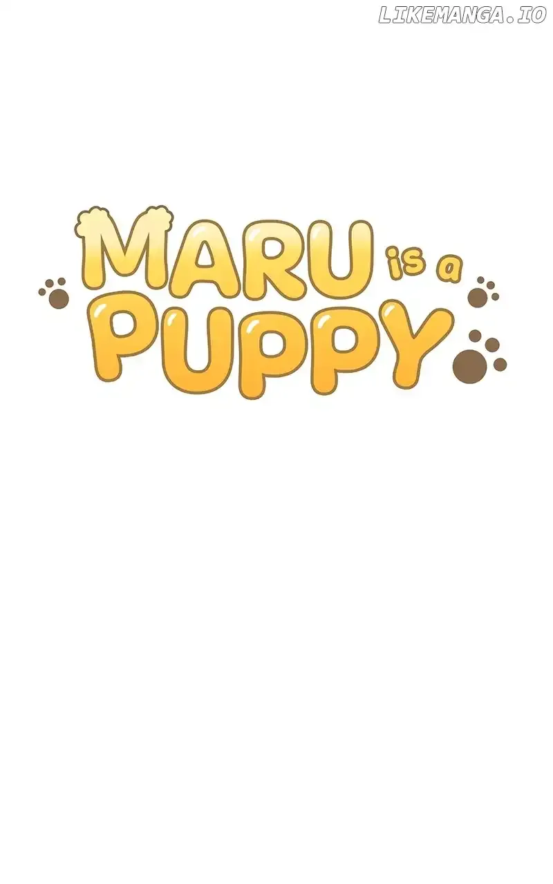 Maru is a Puppy Zinmanga X Chapter 41 Page 19