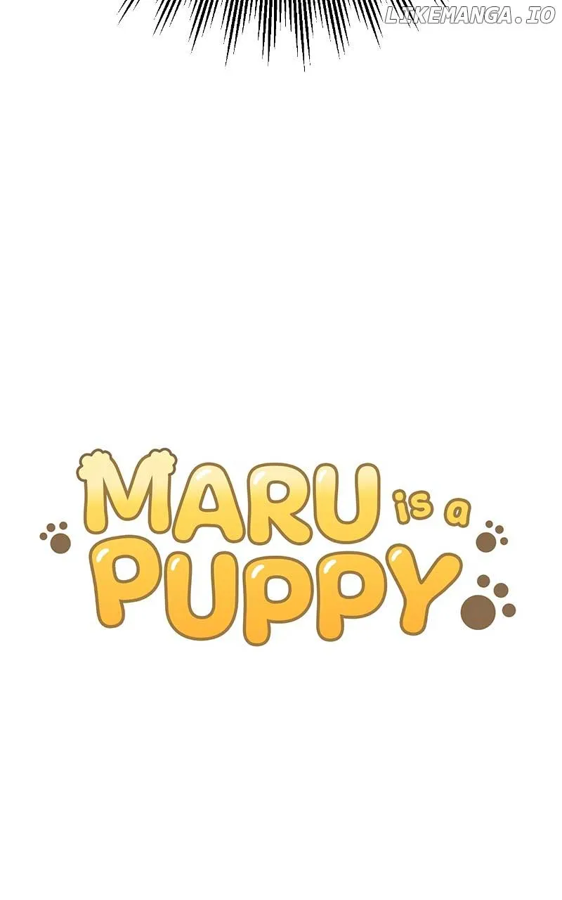 Maru is a Puppy Zinmanga X Chapter 31 Page 5