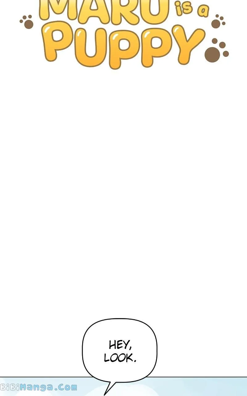 Maru is a Puppy Zinmanga X Chapter 11 Page 6