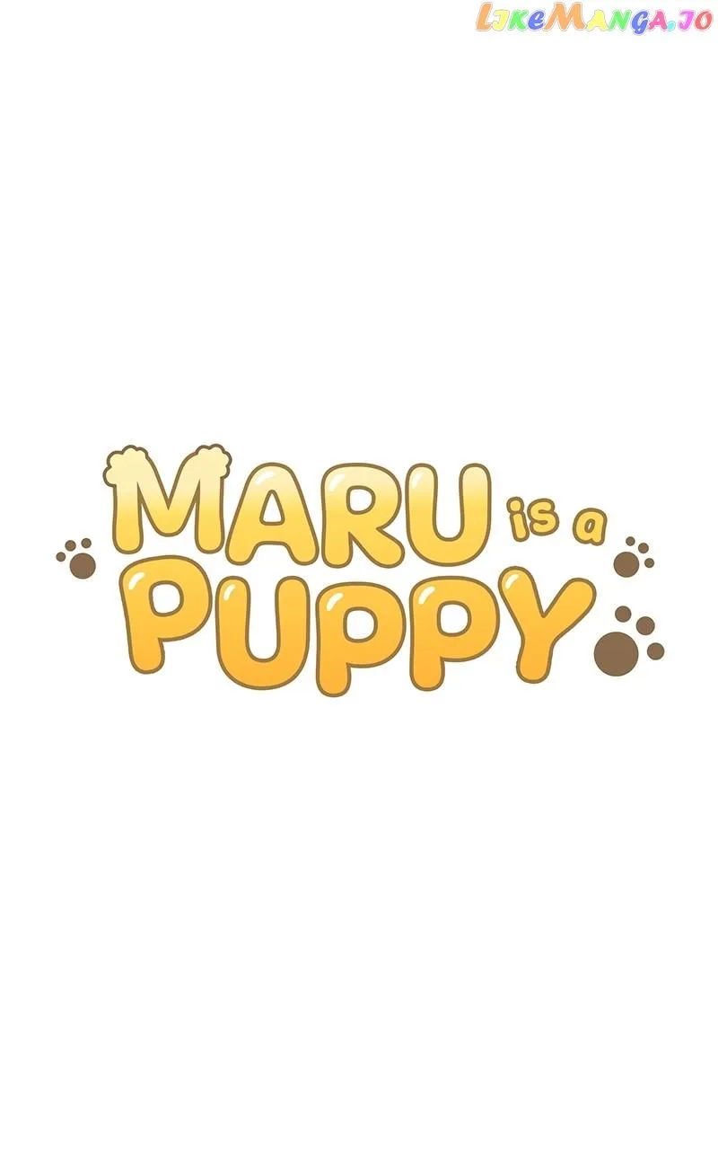 Maru is a Puppy Zinmanga X Chapter 9 Page 11