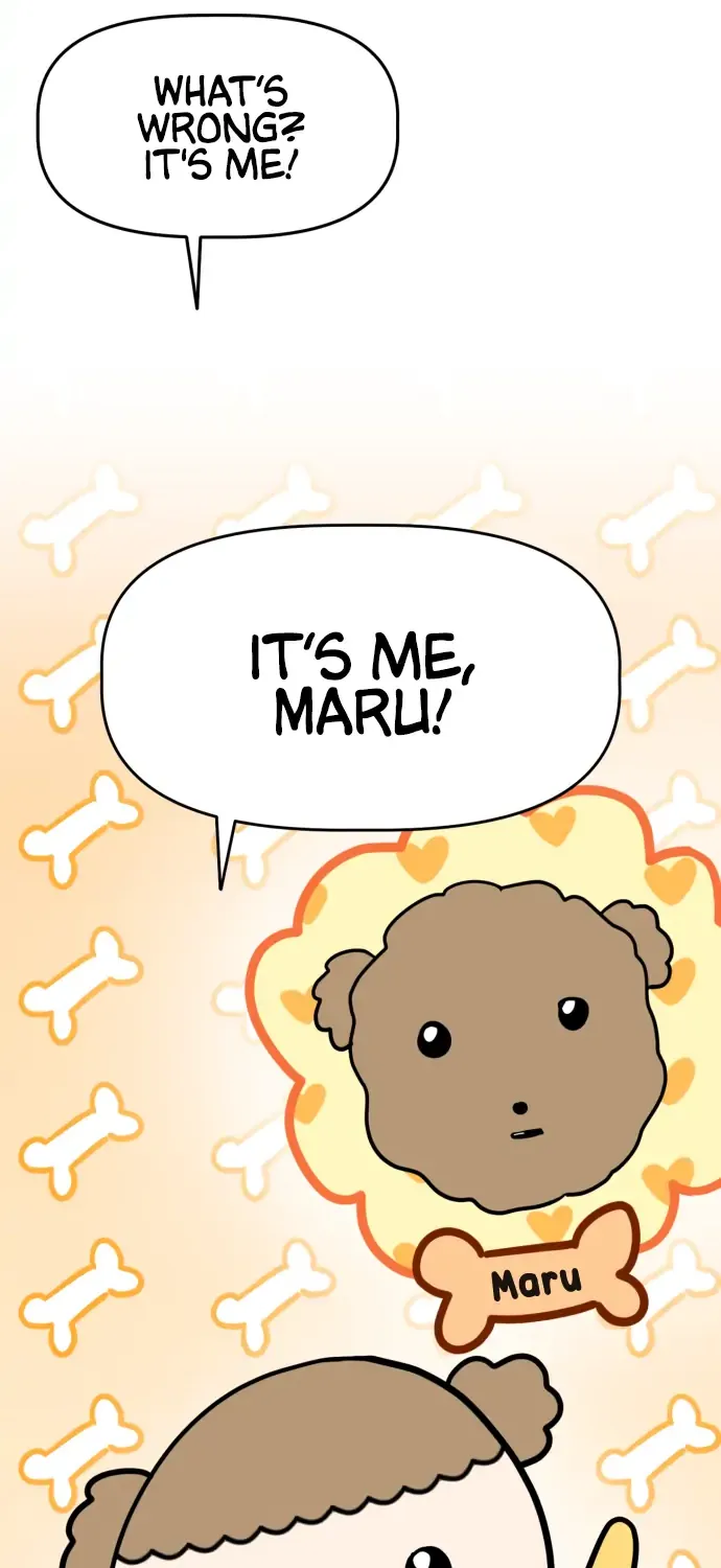 Maru is a Puppy Zinmanga X Chapter 1 Page 81