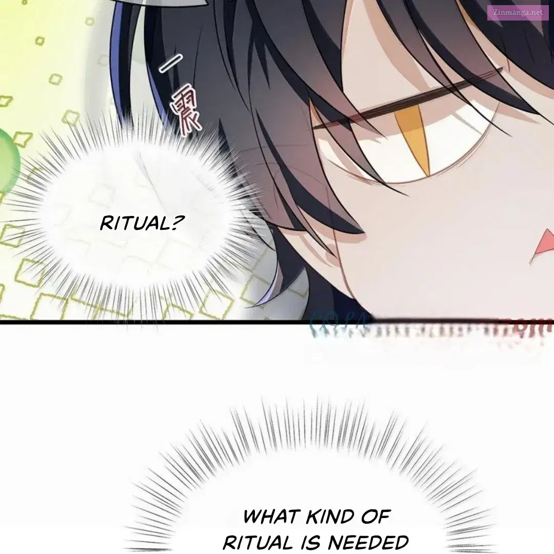 I Was Reborn as His Highness the Prince’s Little Evil Dragon Zinmanga X Chapter 62 Page 7