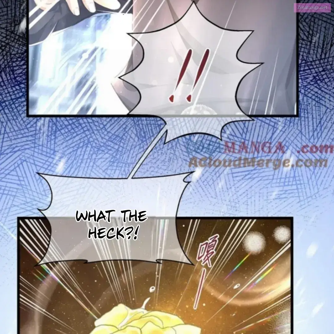 I Was Reborn as His Highness the Prince’s Little Evil Dragon Zinmanga X Chapter 60 Page 15