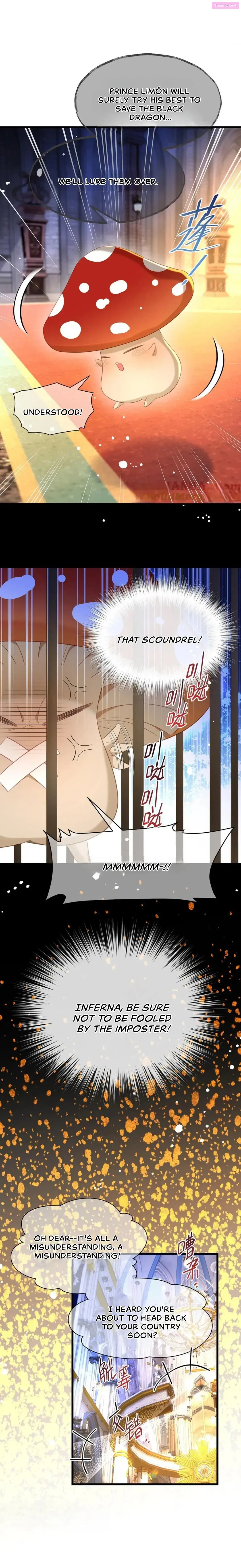 I Was Reborn as His Highness the Prince’s Little Evil Dragon Zinmanga X Chapter 51 Page 10