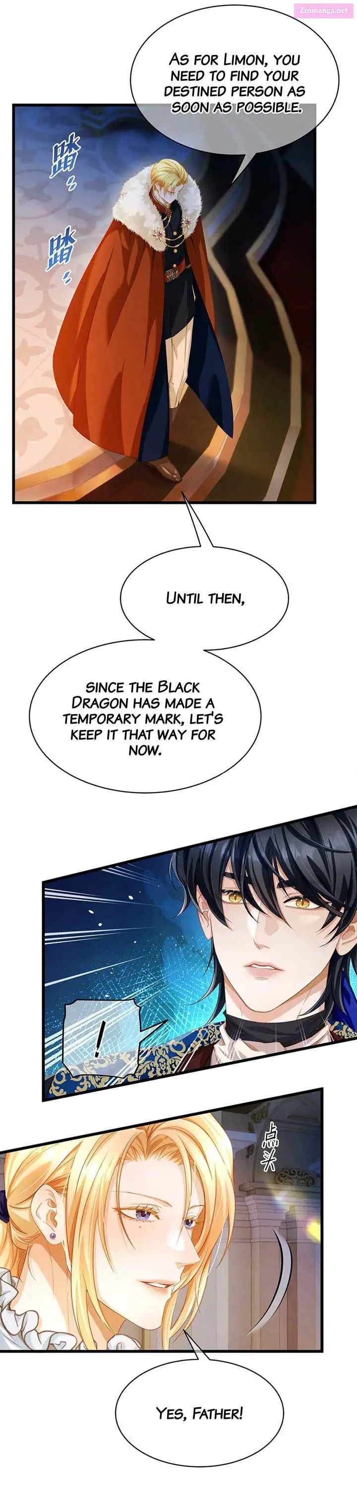 I Was Reborn as His Highness the Prince’s Little Evil Dragon Zinmanga X Chapter 34 Page 3