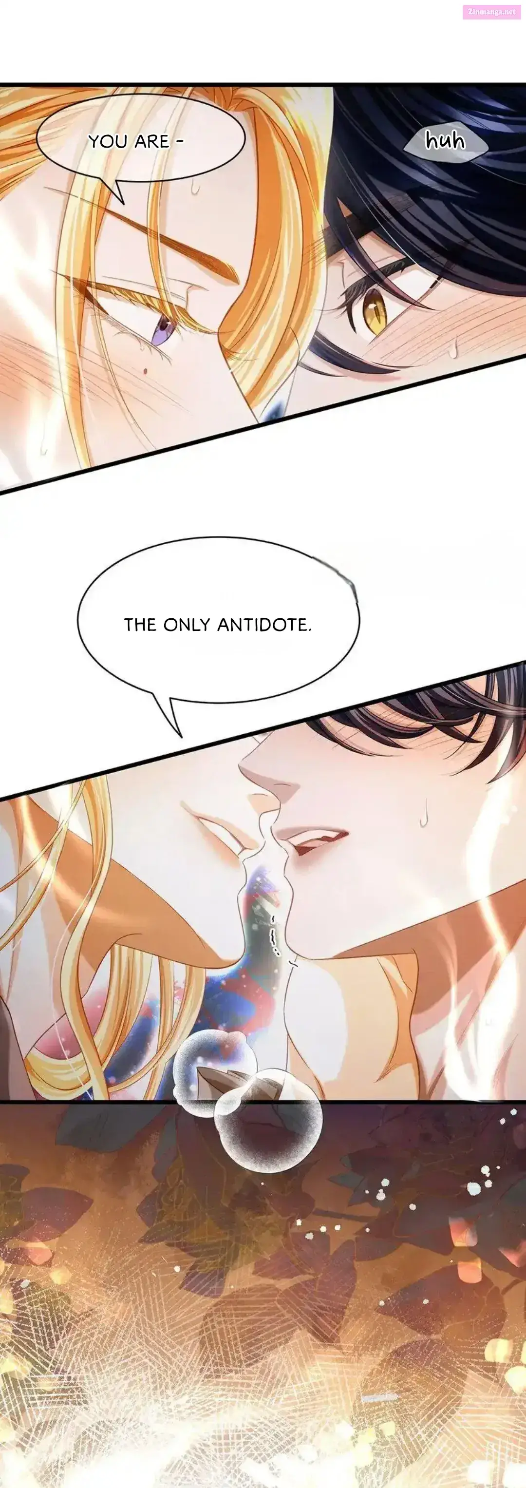 I Was Reborn as His Highness the Prince’s Little Evil Dragon Zinmanga X Chapter 19 Page 7