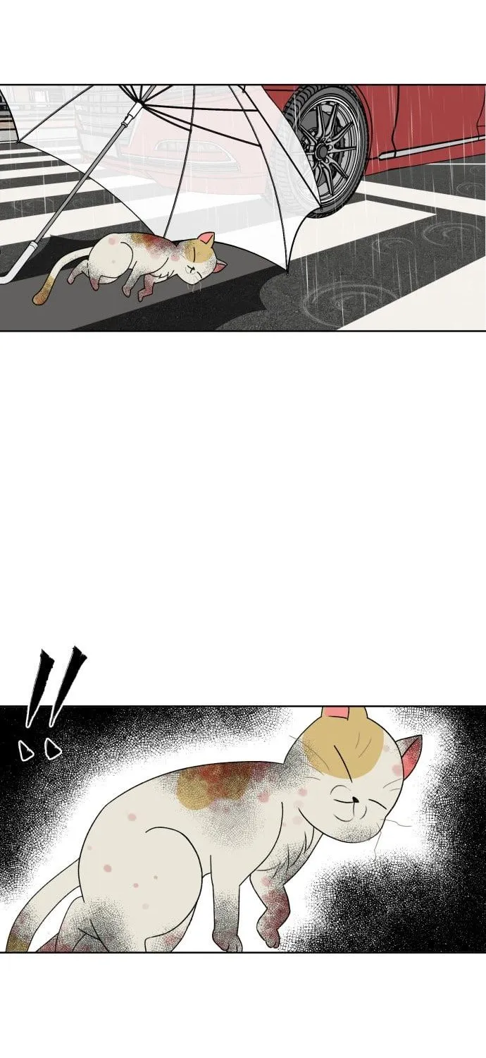 Face Genius Zinmanga X Chapter 1 Page 35