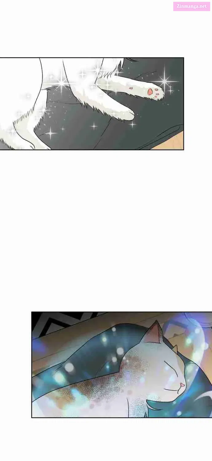 Face Genius Zinmanga X Chapter 0 Page 48