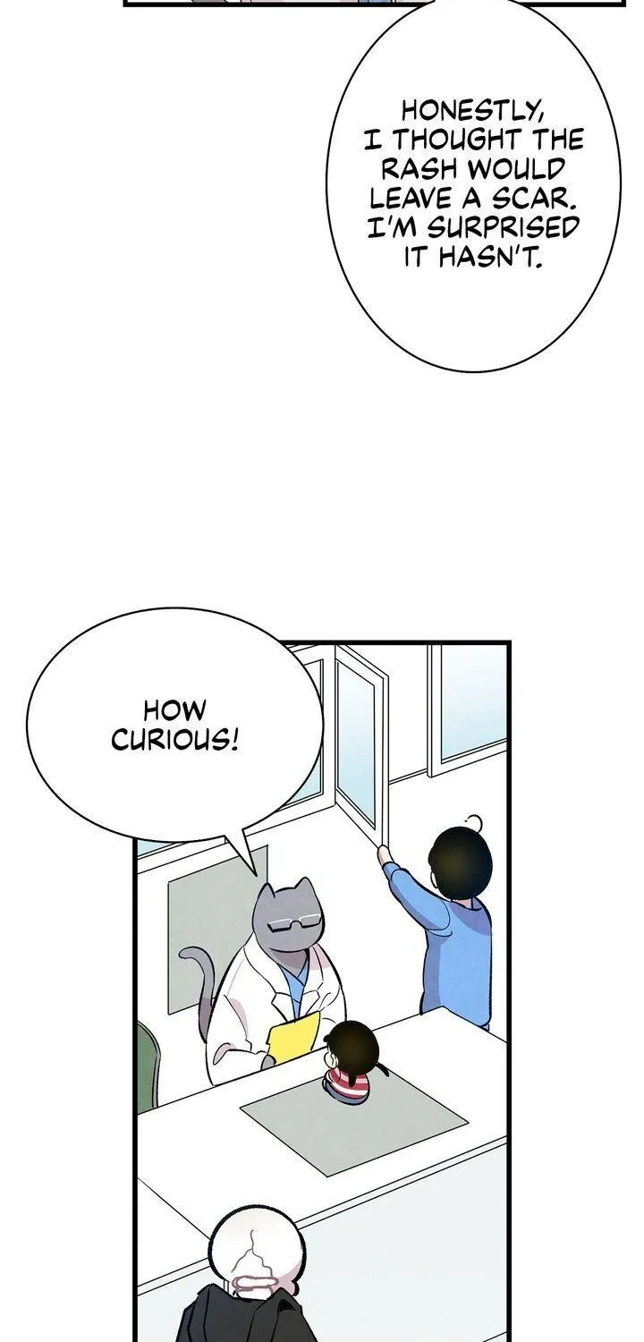 The Skeleton Becomes A Cat Dad Zinmanga X Chapter 84 Page 37
