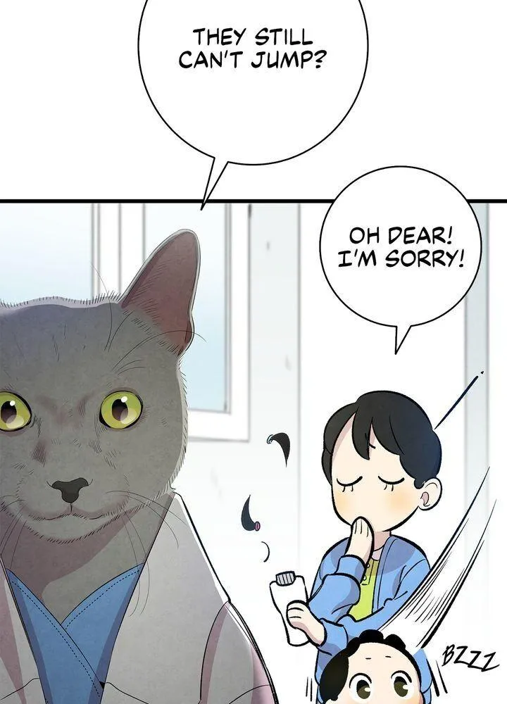 The Skeleton Becomes A Cat Dad Zinmanga X Chapter 84 Page 46