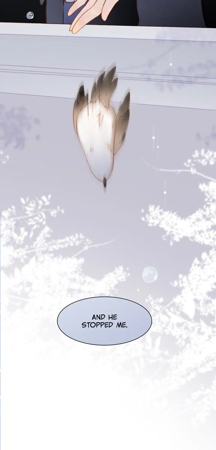 Soundless Cosmos Zinmanga X Chapter 24 Page 8