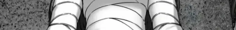 Hero Killer Zinmanga X Chapter 203 Page 51