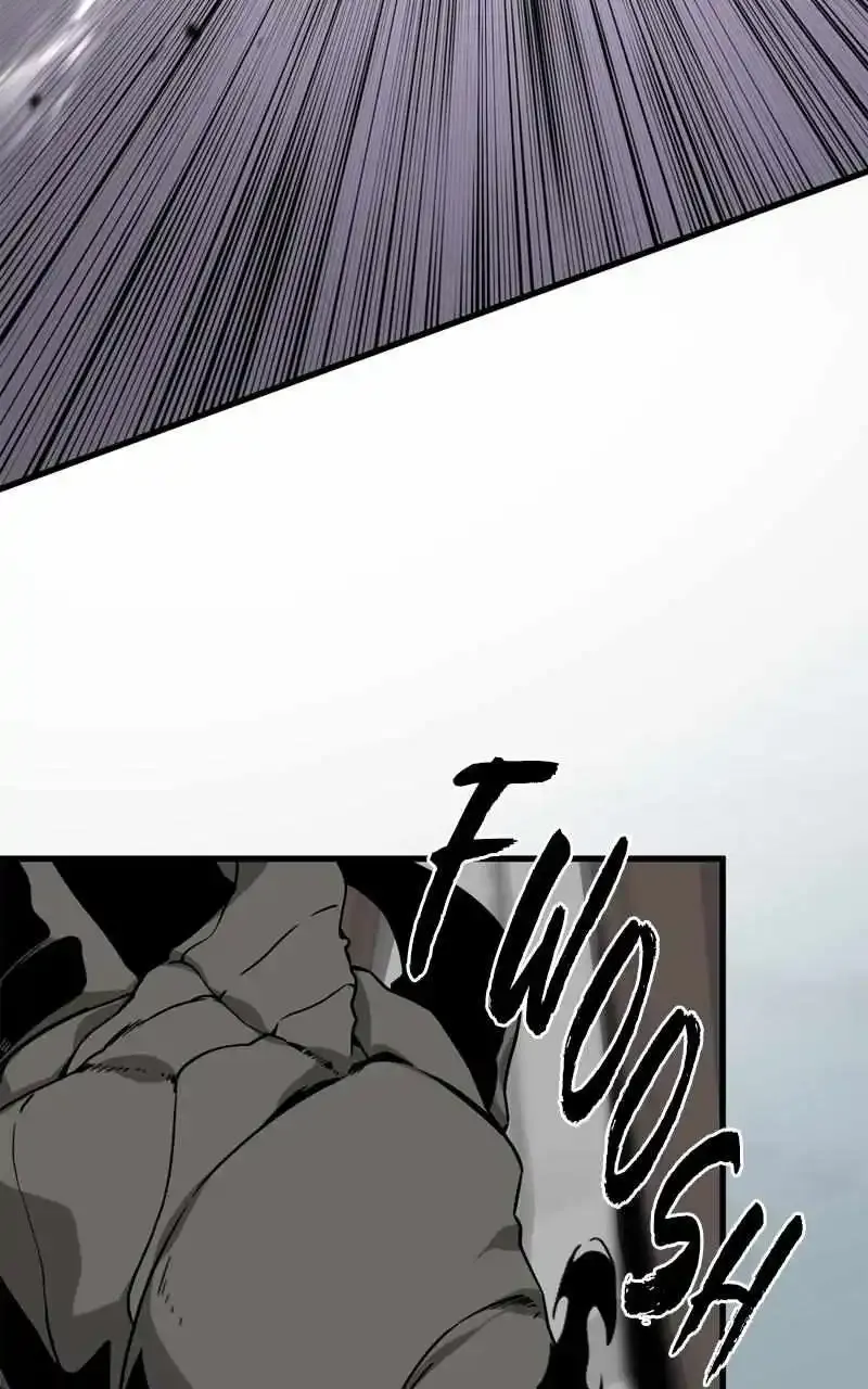 Hero Killer Zinmanga X Chapter 161 Page 48