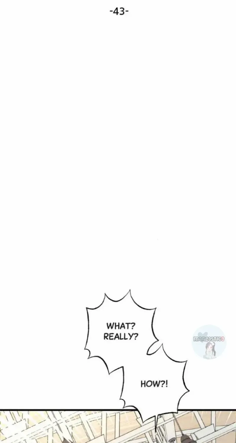 Night Of Shadows Zinmanga X Chapter 43 Page 49