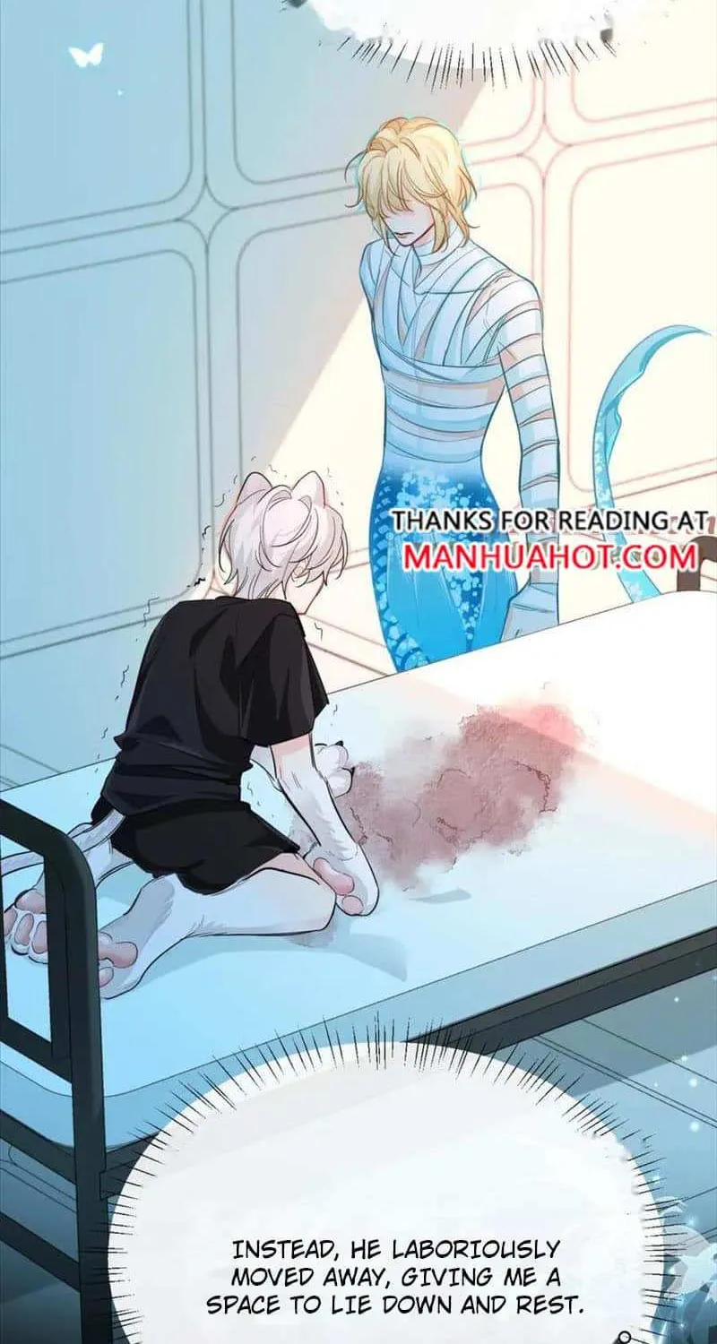 The Falling Merman Zinmanga X Chapter 80 Page 7