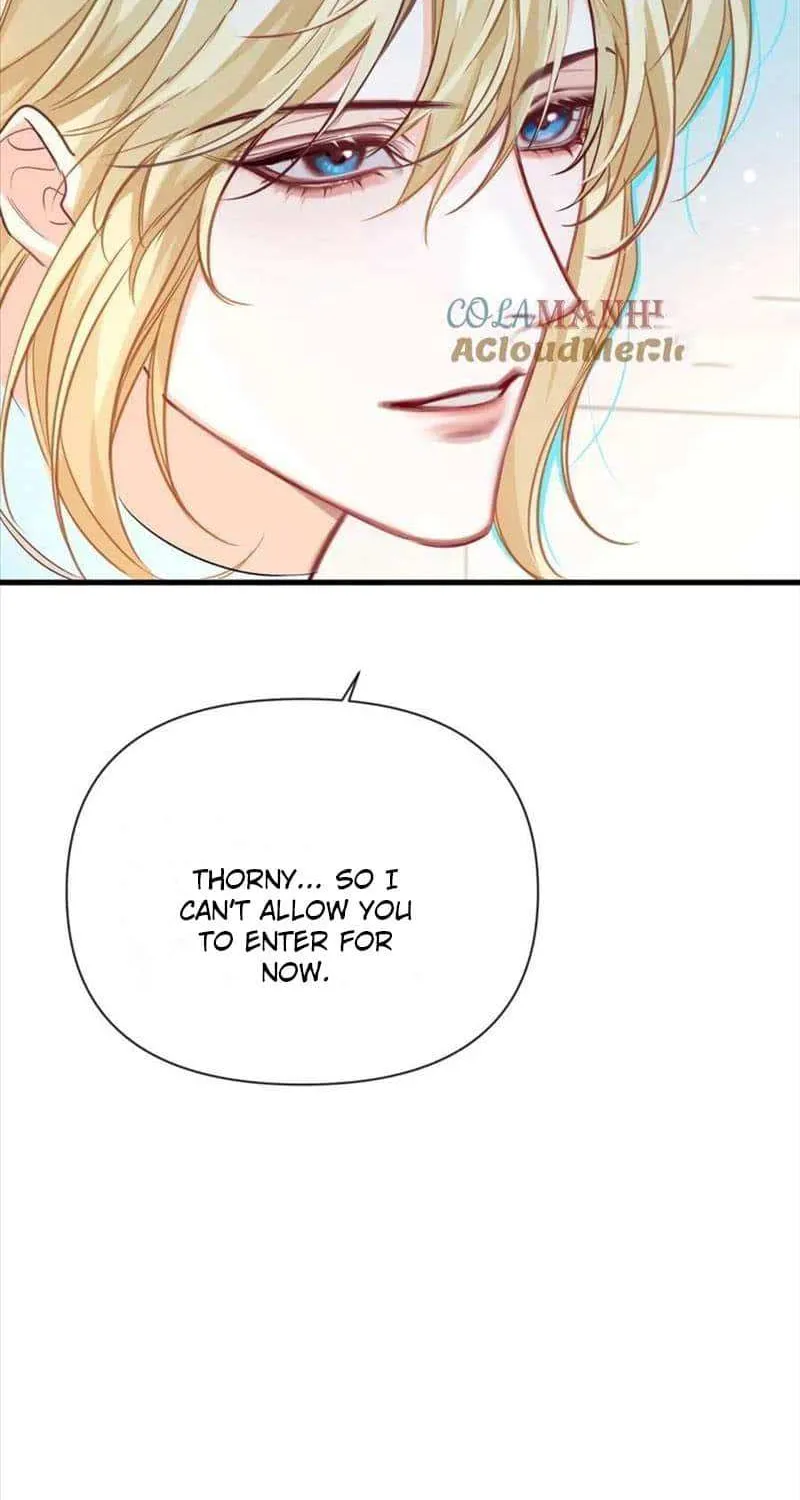 The Falling Merman Zinmanga X Chapter 80 Page 31