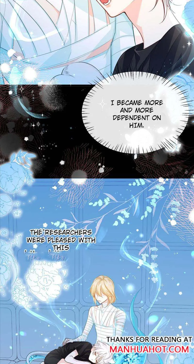 The Falling Merman Zinmanga X Chapter 69 Page 26