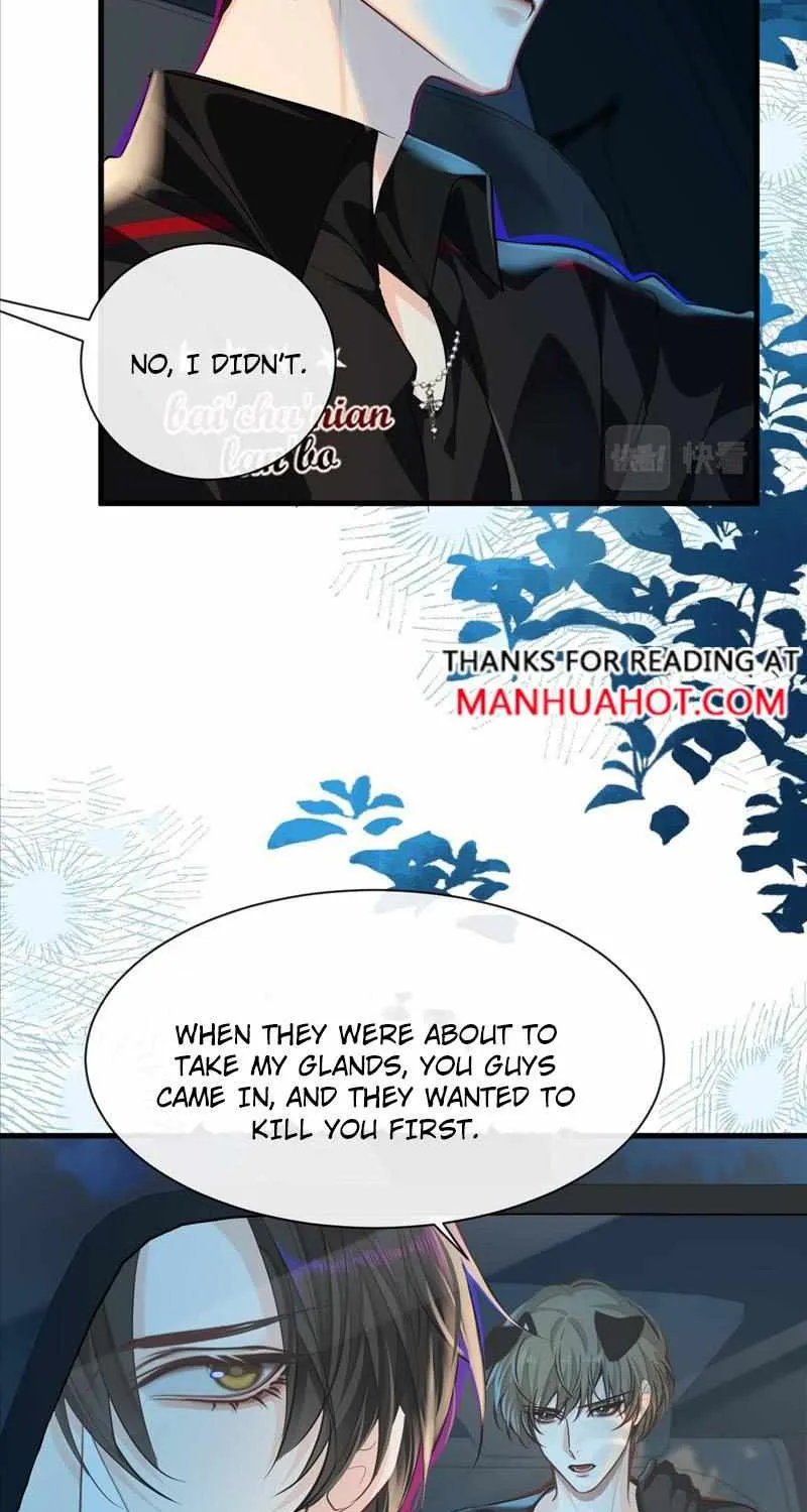 The Falling Merman Zinmanga X Chapter 67 Page 33