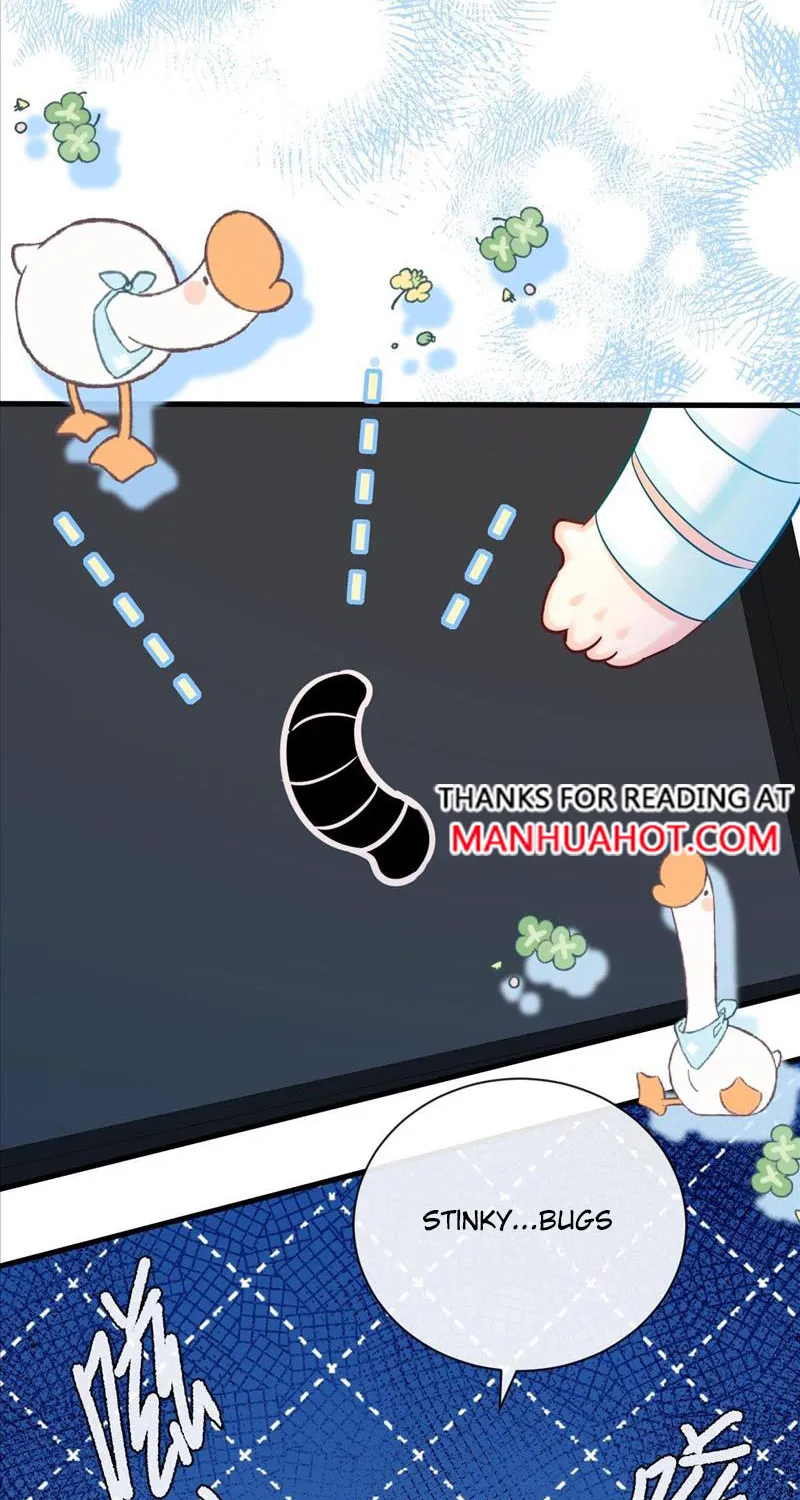 The Falling Merman Zinmanga X Chapter 50 Page 2
