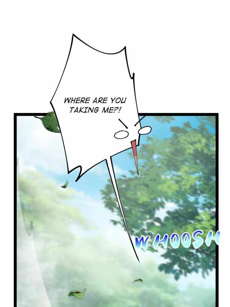 This Account is Ridiculous Zinmanga X Chapter 70 Page 29