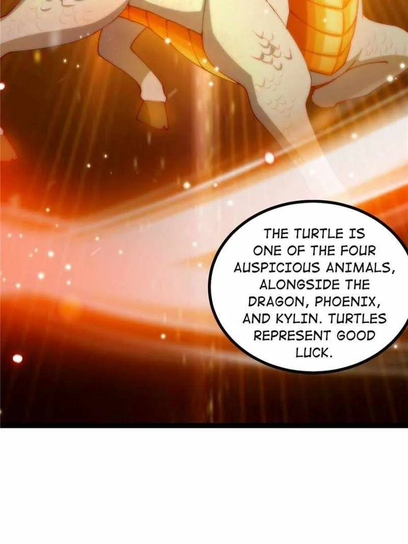 This Account is Ridiculous Zinmanga X Chapter 62 Page 4
