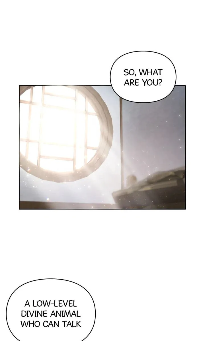 I Become the Tiger’s Daughter Zinmanga X Chapter 36 Page 17