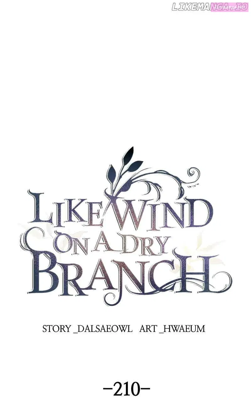 Like A Wind On A Dry Branch Zinmanga X Chapter 212 Page 1