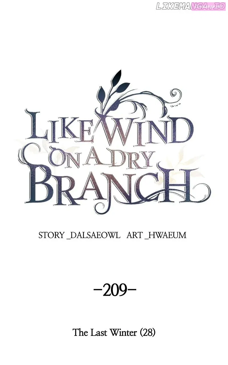Like A Wind On A Dry Branch Zinmanga X Chapter 211 Page 1