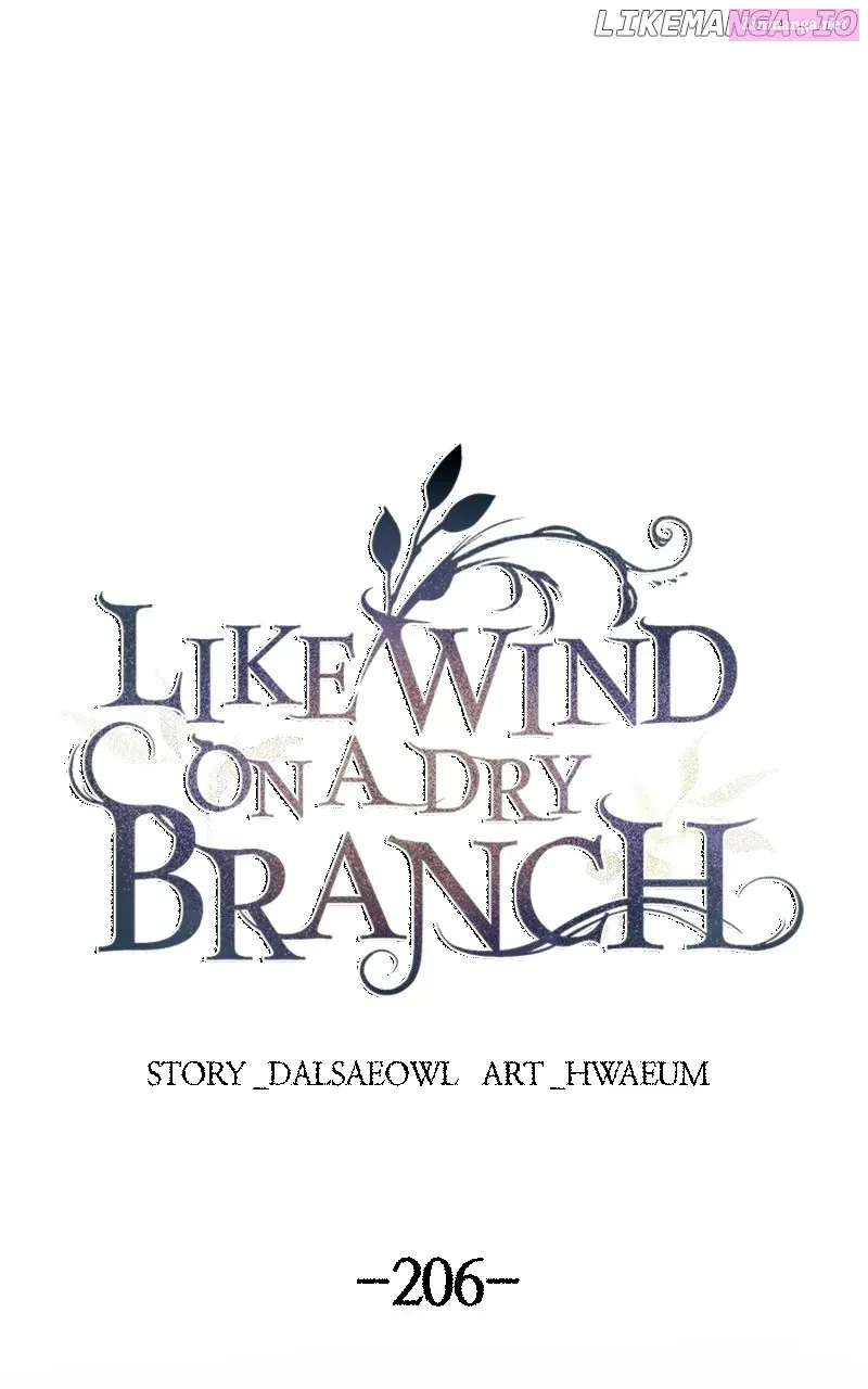Like A Wind On A Dry Branch Zinmanga X Chapter 208 Page 10
