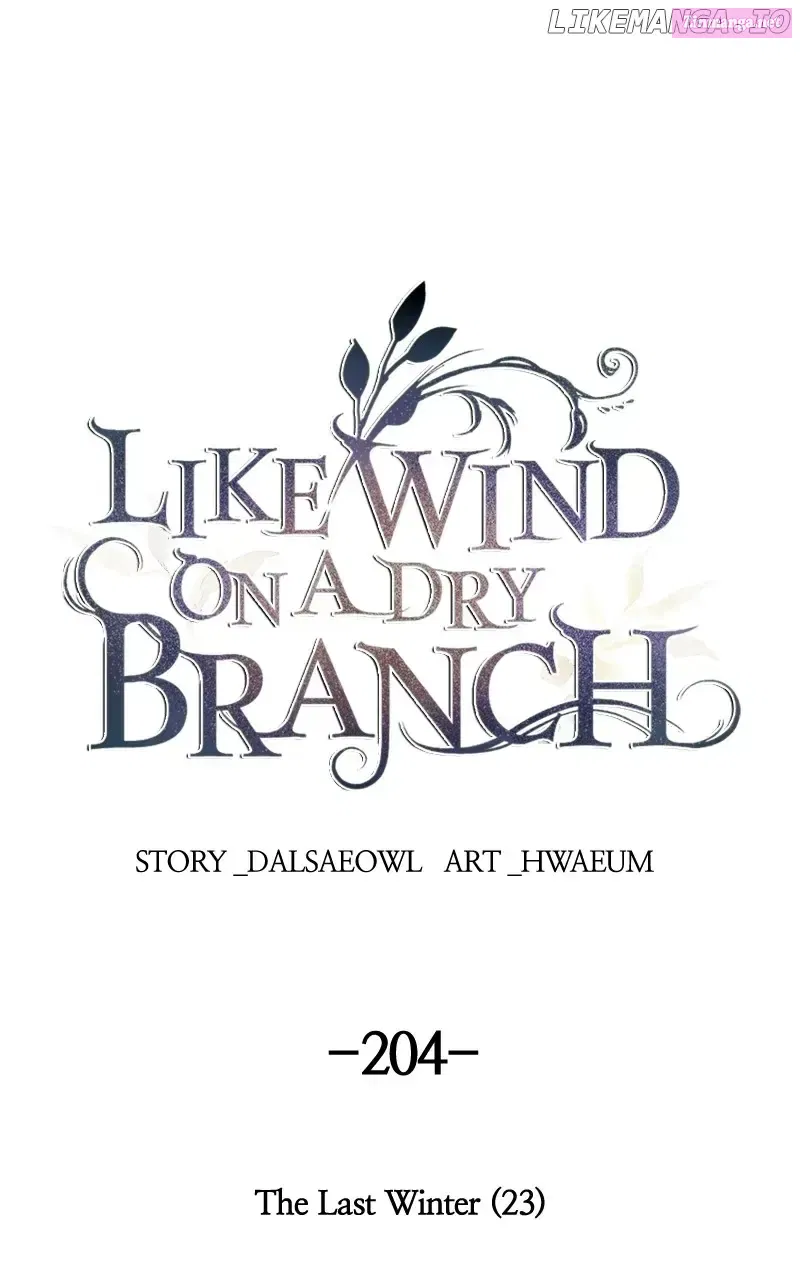 Like A Wind On A Dry Branch Zinmanga X Chapter 206 Page 1