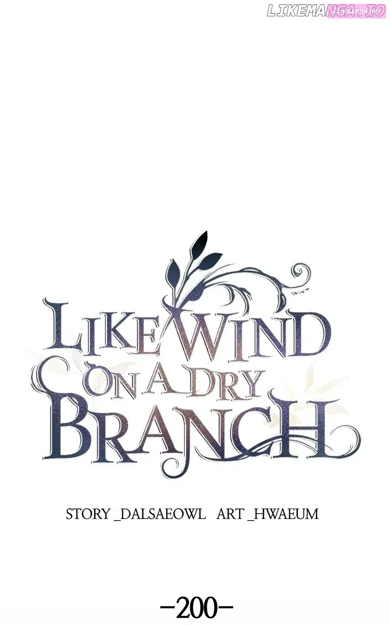 Like A Wind On A Dry Branch Zinmanga X Chapter 202 Page 1