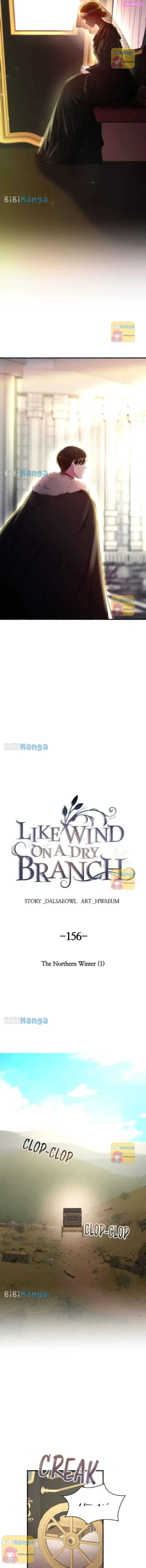 Like A Wind On A Dry Branch Zinmanga X Chapter 156 Page 5