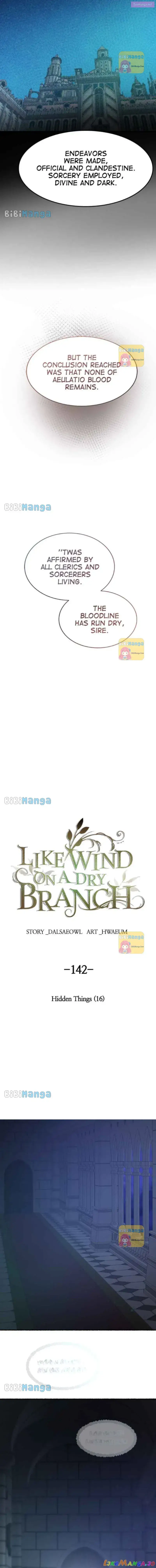 Like A Wind On A Dry Branch Zinmanga X Chapter 142 Page 7