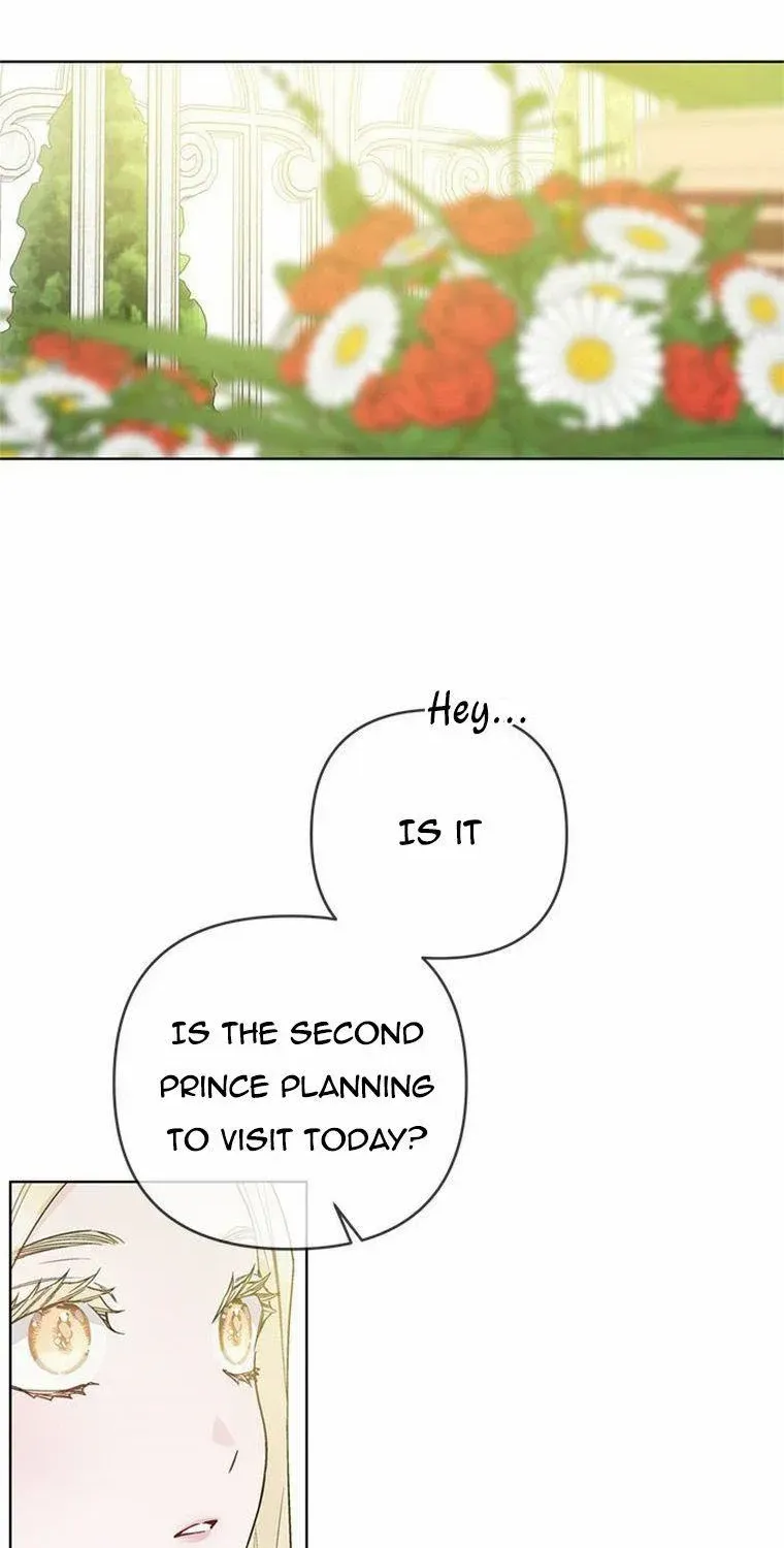 The Way That Knight Lives As a Lady Zinmanga X Chapter 104 Page 34