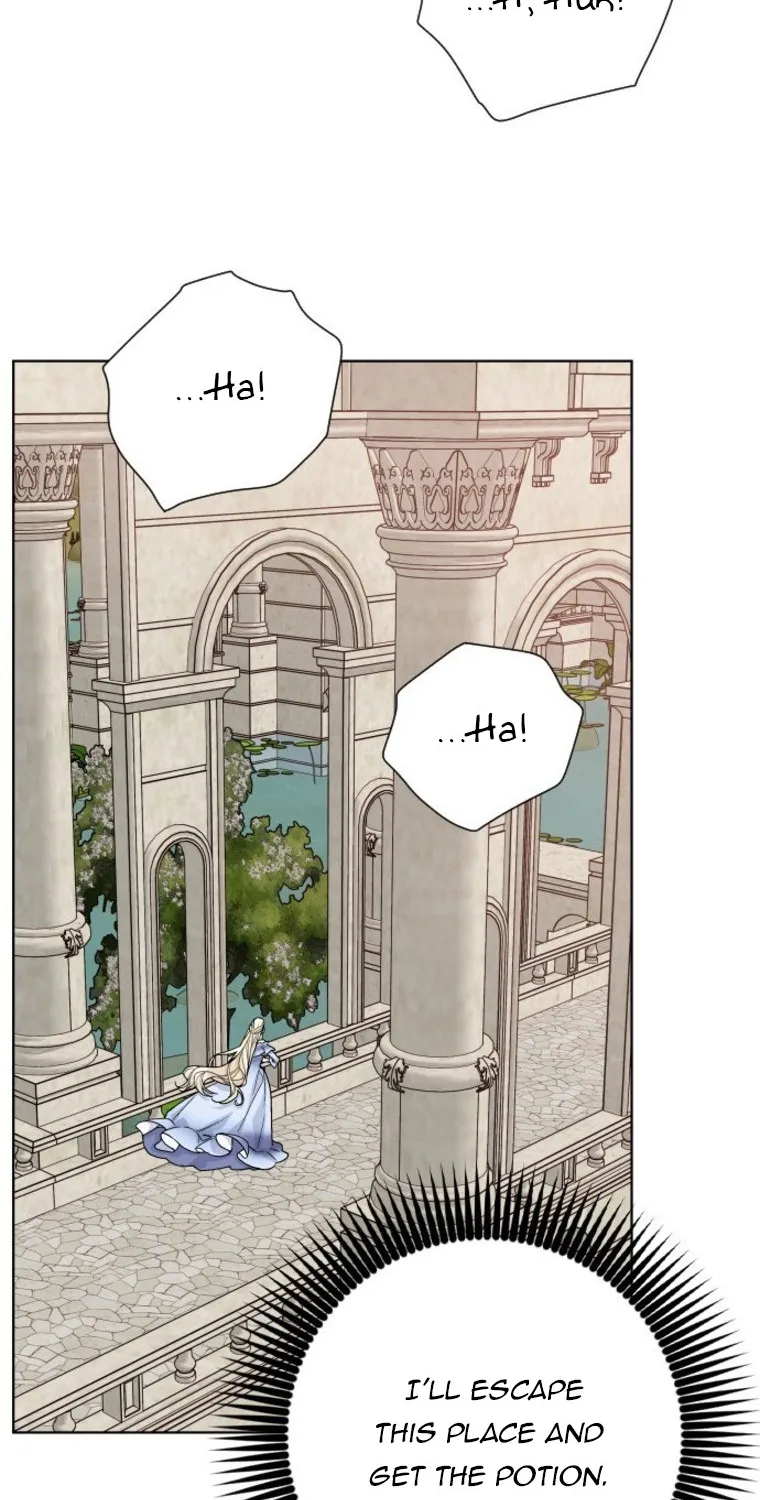 The Way That Knight Lives As a Lady Zinmanga X Chapter 77 Page 63
