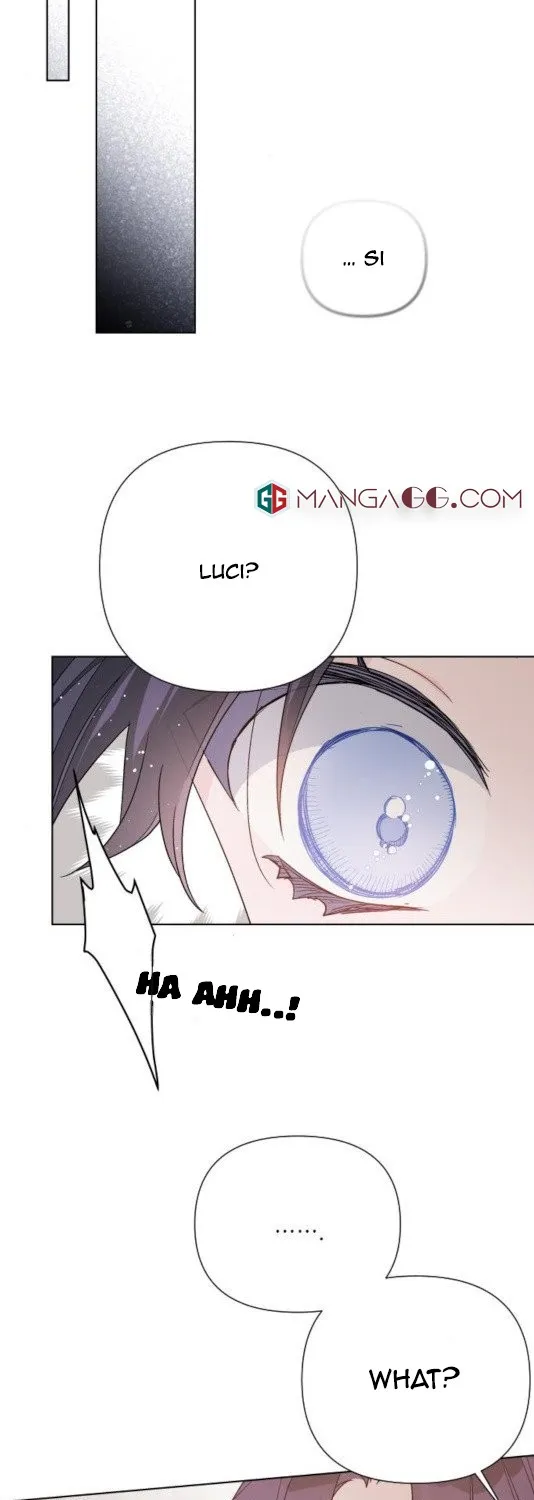The Way That Knight Lives As a Lady Zinmanga X Chapter 55 Page 27